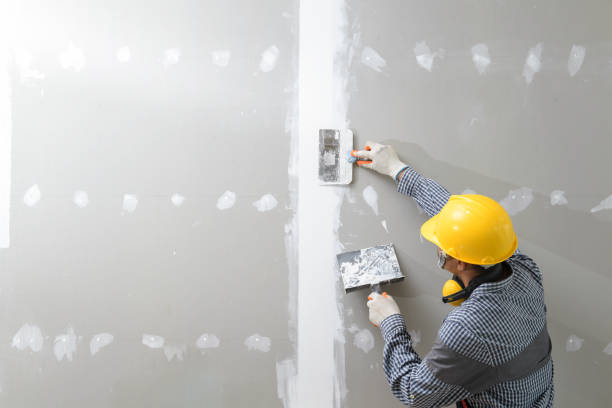 Best Emergency Mold Remediation  in Warner Robins, GA