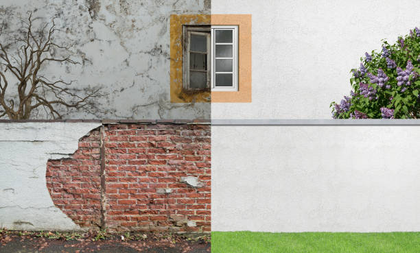 Best Comprehensive Air Testing for Mold Contaminants  in Warner Robins, GA