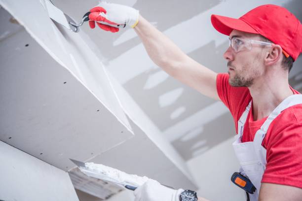 Best Attic Mold Removal  in Warner Robins, GA